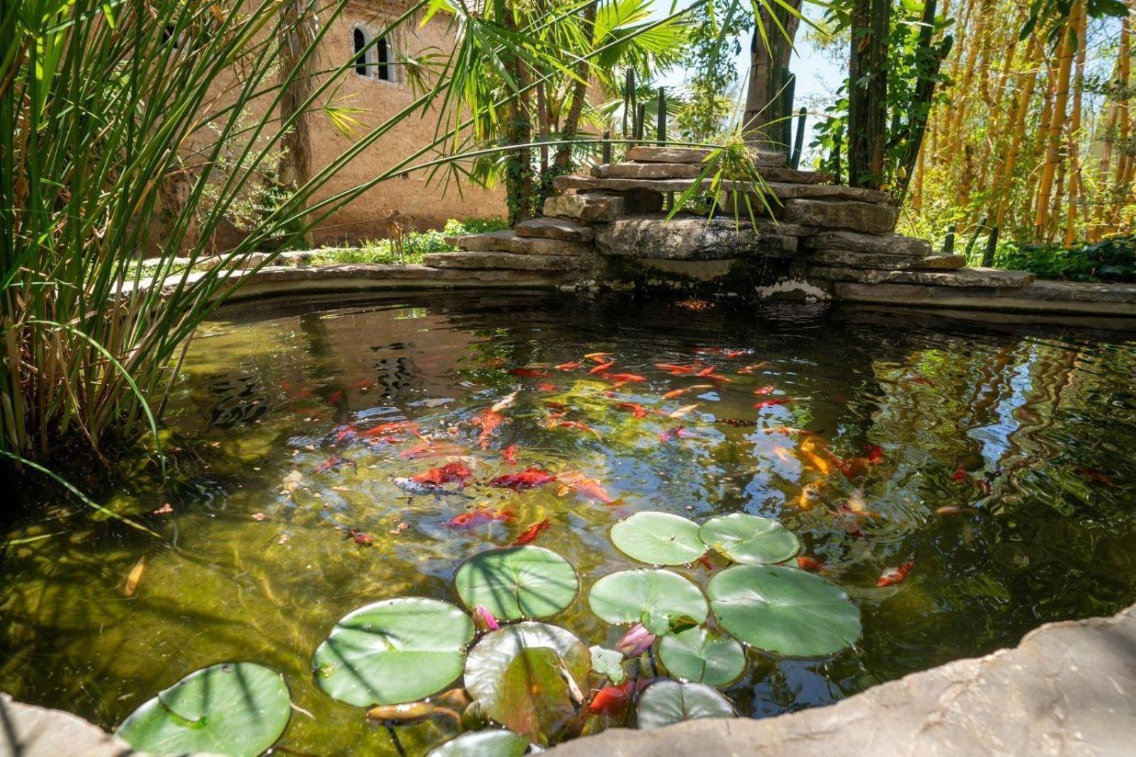 Hotel Molino Garden Xauen Exterior foto